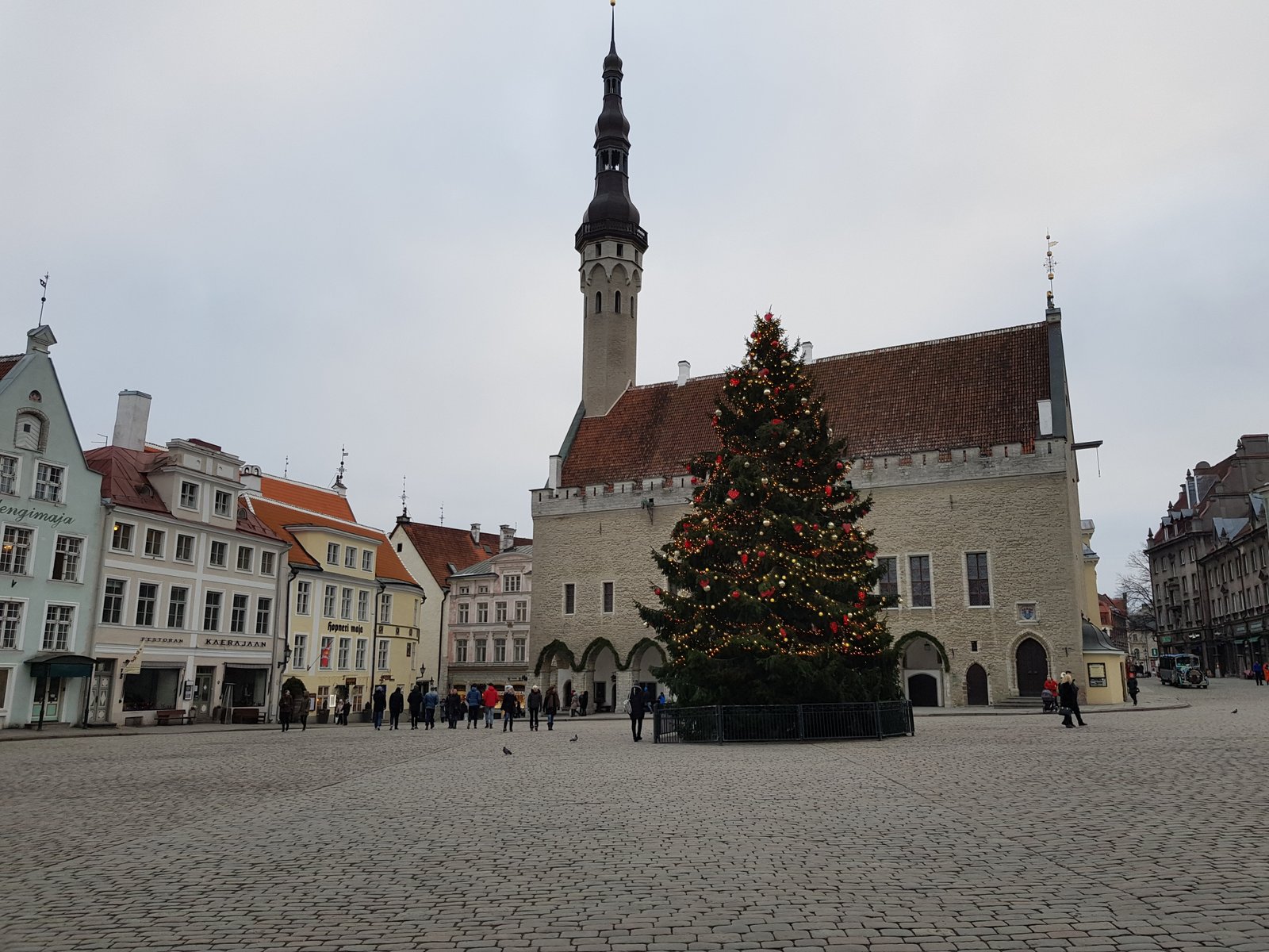 Big Christmas tree in Tallinn